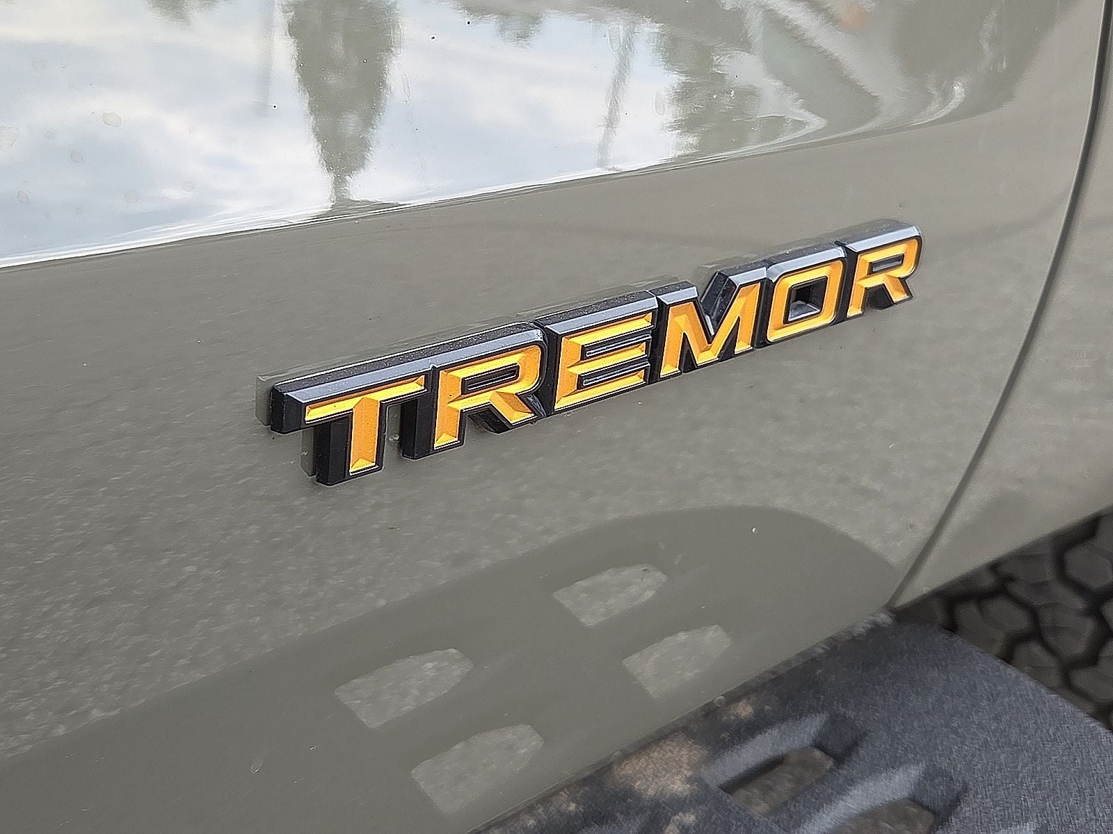 2025 Ford Expedition Tremor