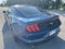 2023 Ford Mustang EcoBoost Fastback