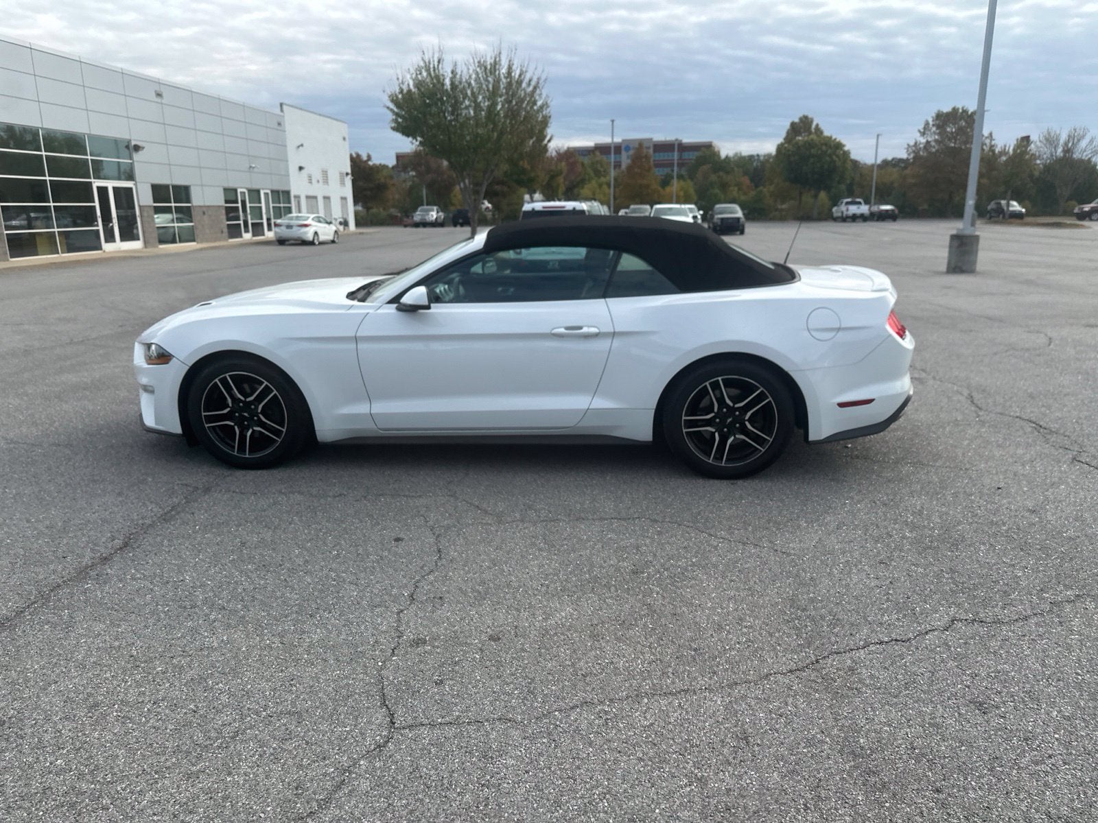 2019 Ford Mustang EcoBoost Premium